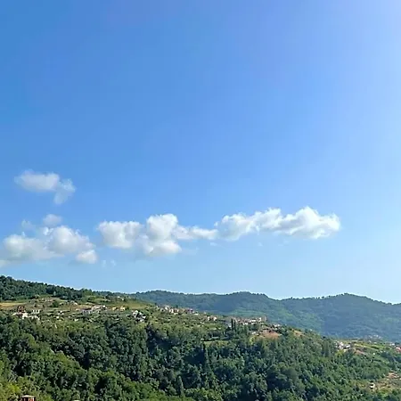 Antica San Ciriaco Bed and Breakfast Buonvicino